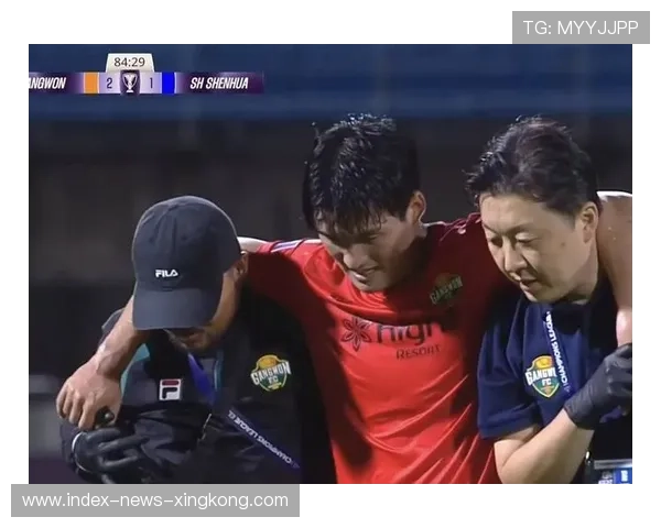 申花再度失利,柔佛新山主场制胜展现强大攻势 申花再度失利,柔佛新山主场制胜展现强大攻势