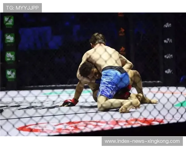 UFC柔道摔法与反制学习课——掌握终极摔技，碾压对手的秘密武器